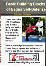bagua self defense dvd